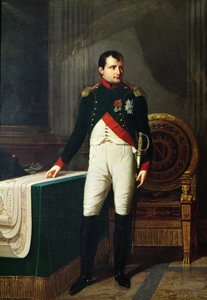 Portræt af Napoleon Bonaparte (1769-1821) 1809